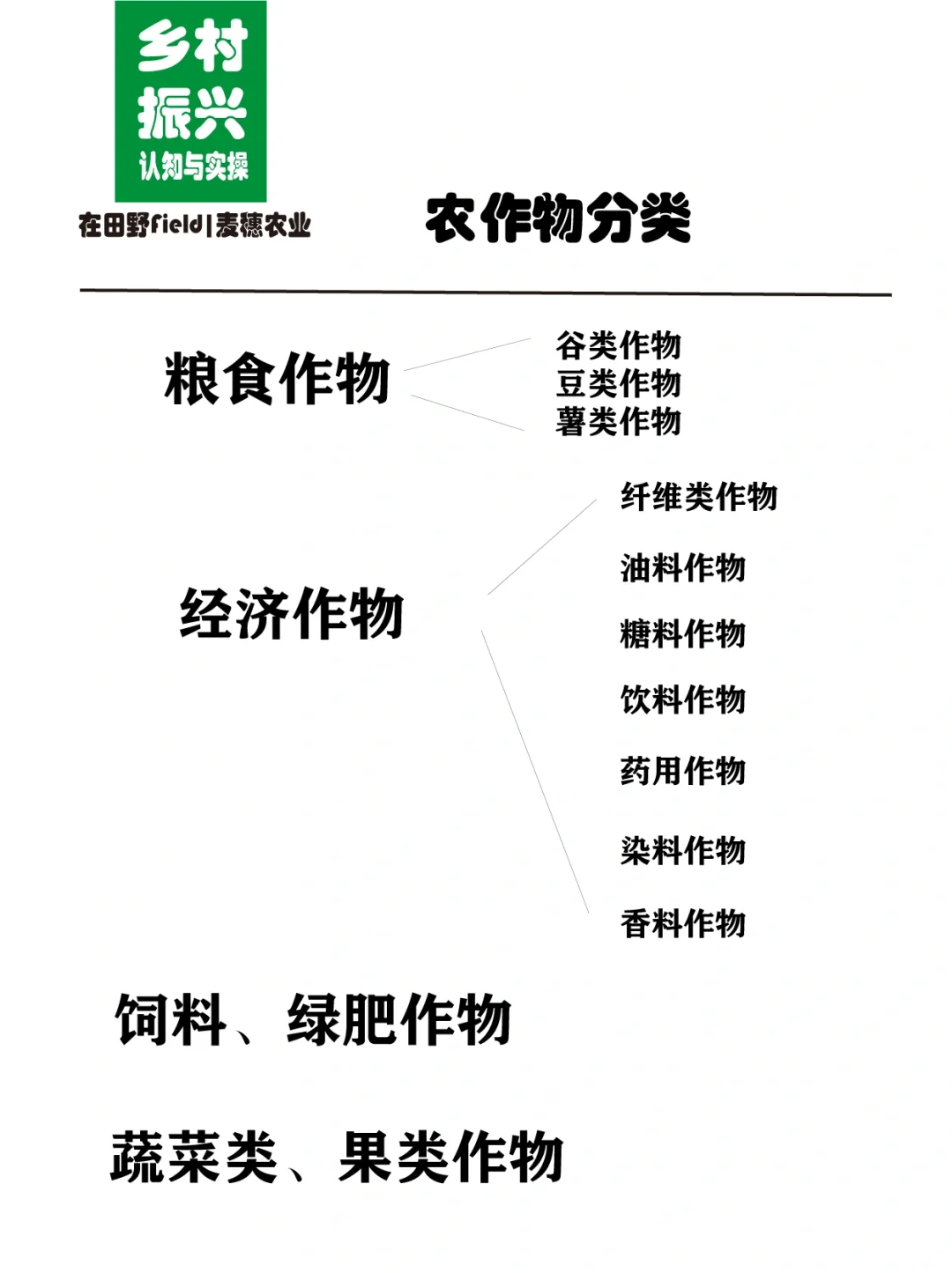 助力乡村振兴｜了解农作物的分类