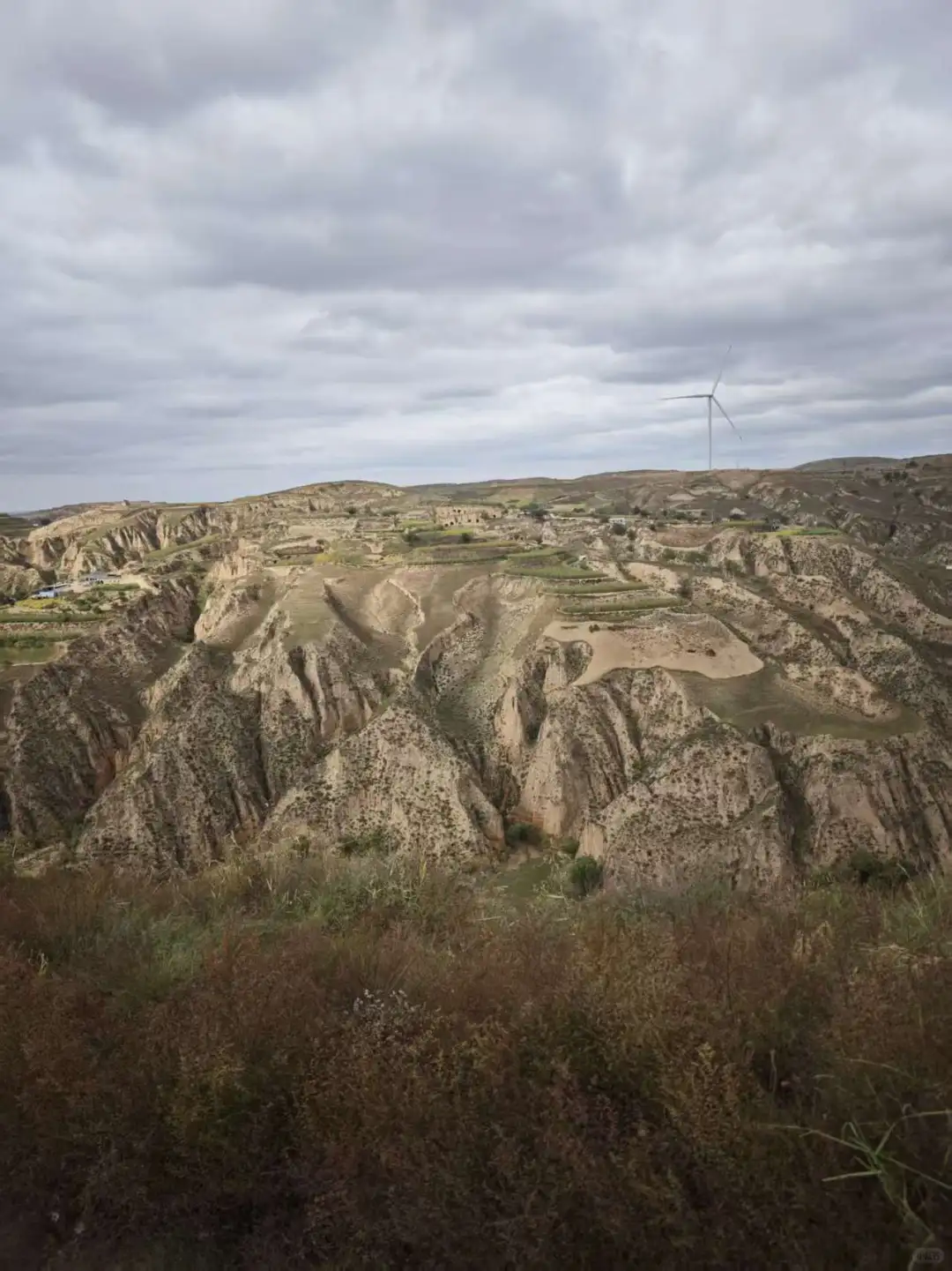 黄土高原为啥可以种土豆？