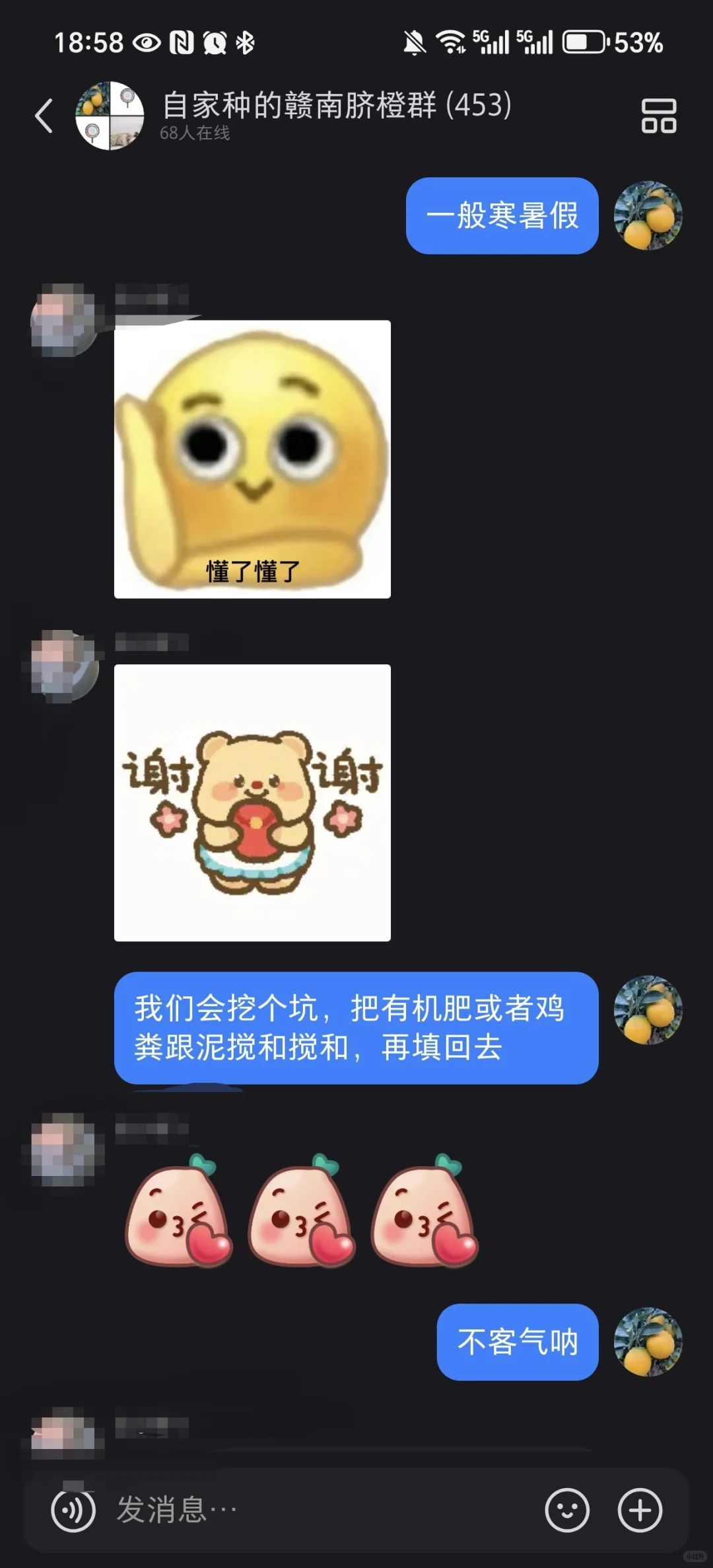 种一颗自己的橙子树?，实现橙子自由啦