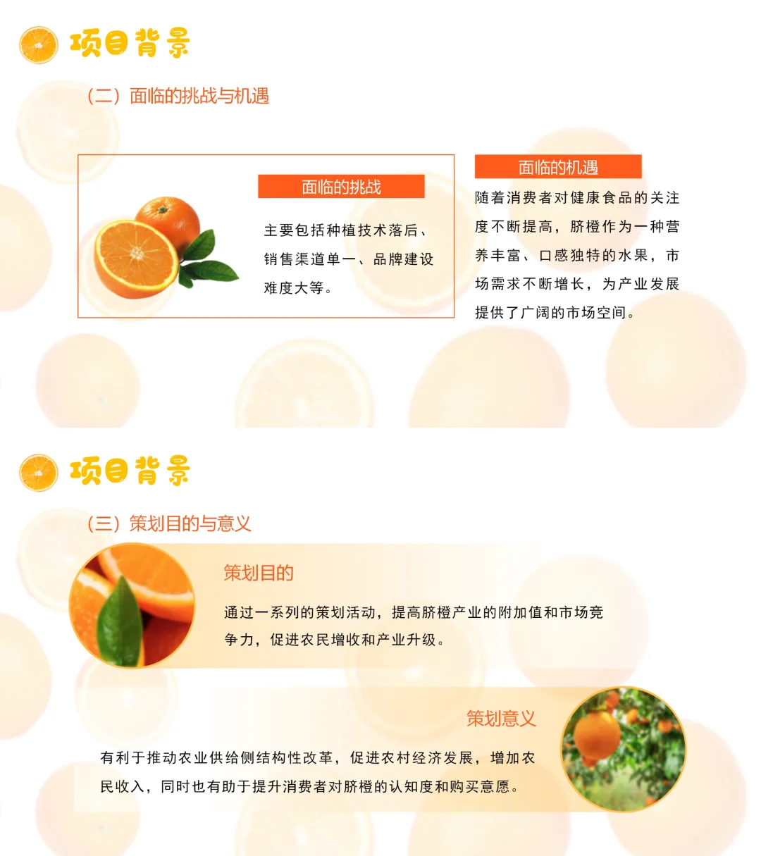 【带内容】脐橙助农项目策划方案PPT模板