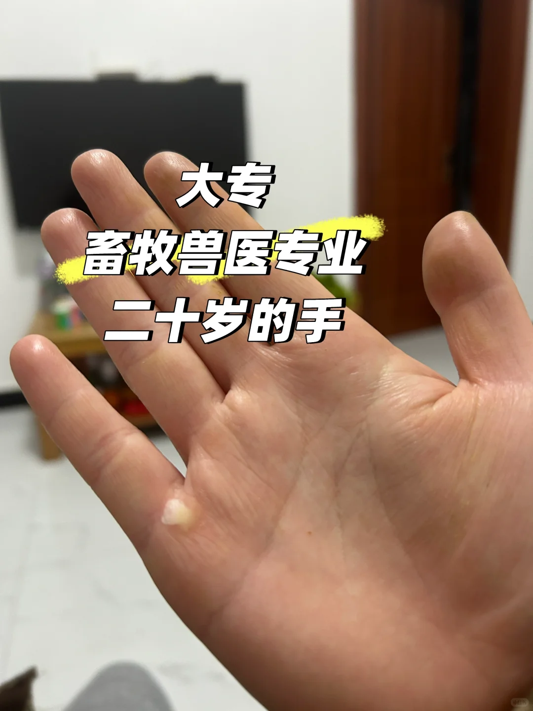 24届毕业生养猪半年❗️