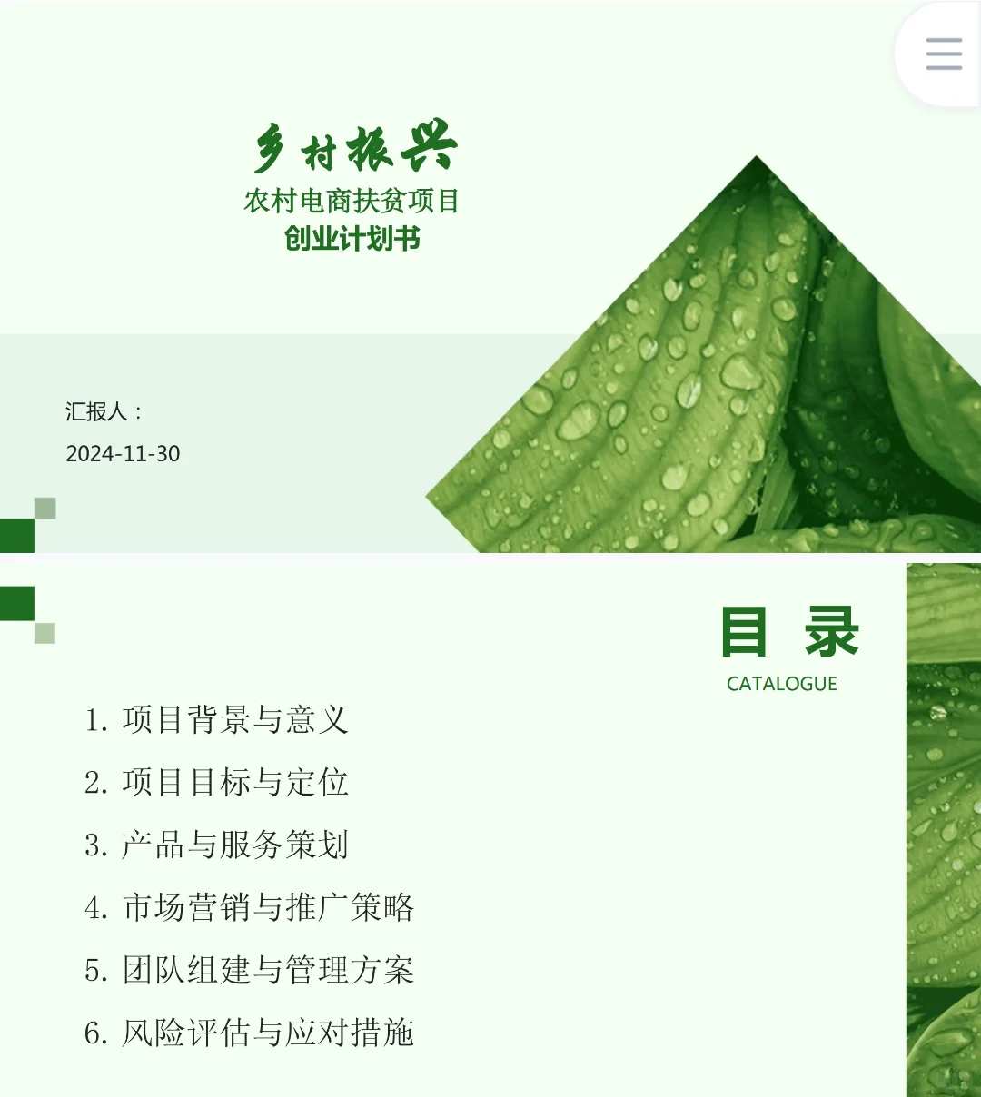 乡村振兴《农村电商扶贫项目》创业计划书