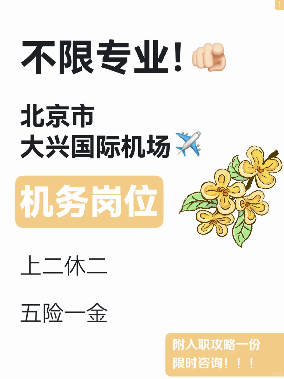 男生来!大兴机场机务,上二休二神仙班制