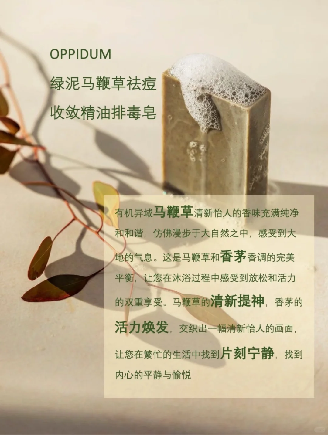 马鞭草：疗愈净化、滋润肌肤的自然选择