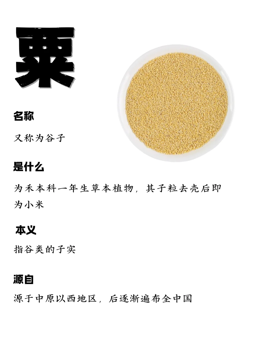 一分钟认识粟！