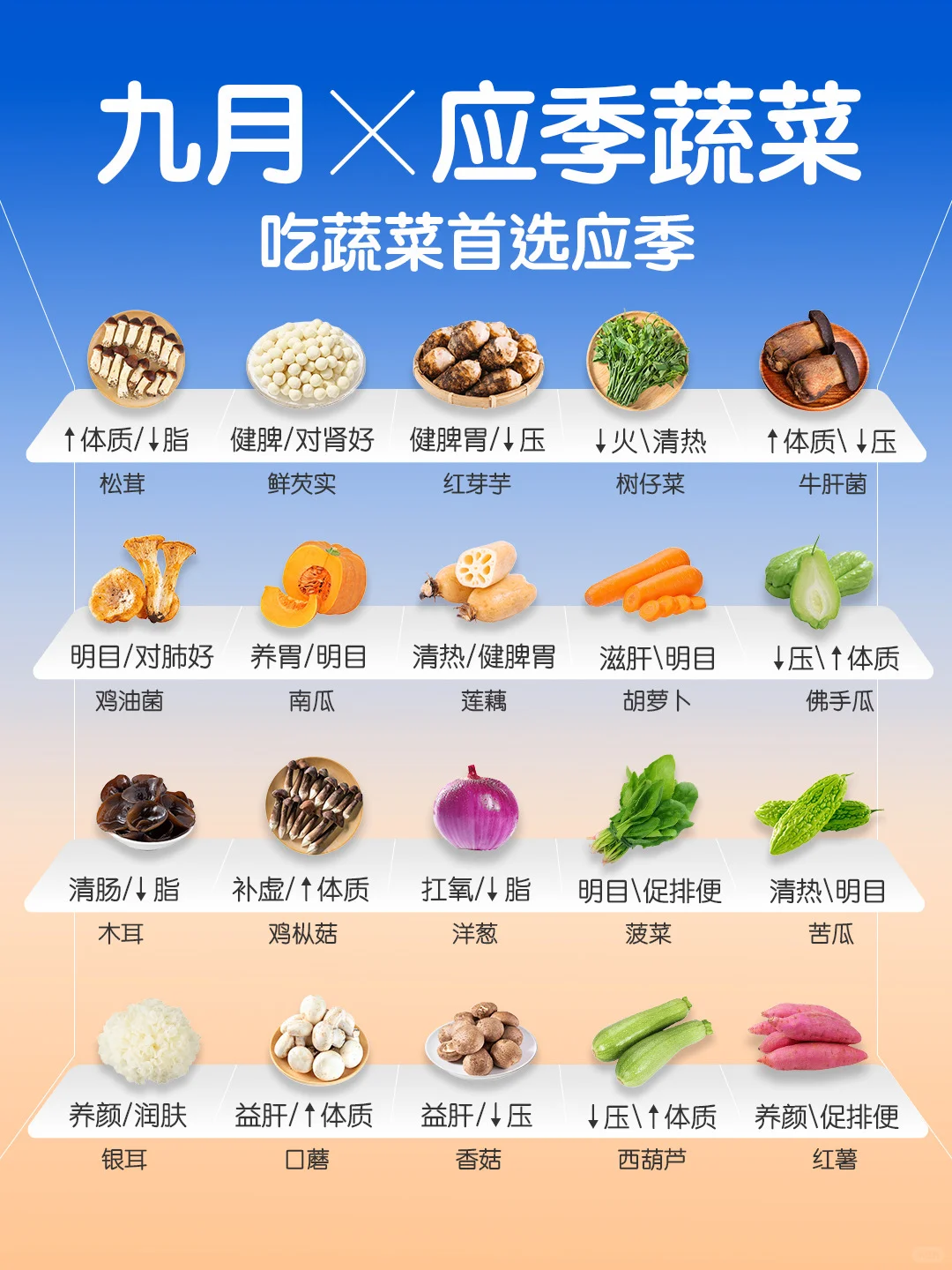 9 ?️ 应季蔬菜速查? ｜吃蔬菜首选应季?