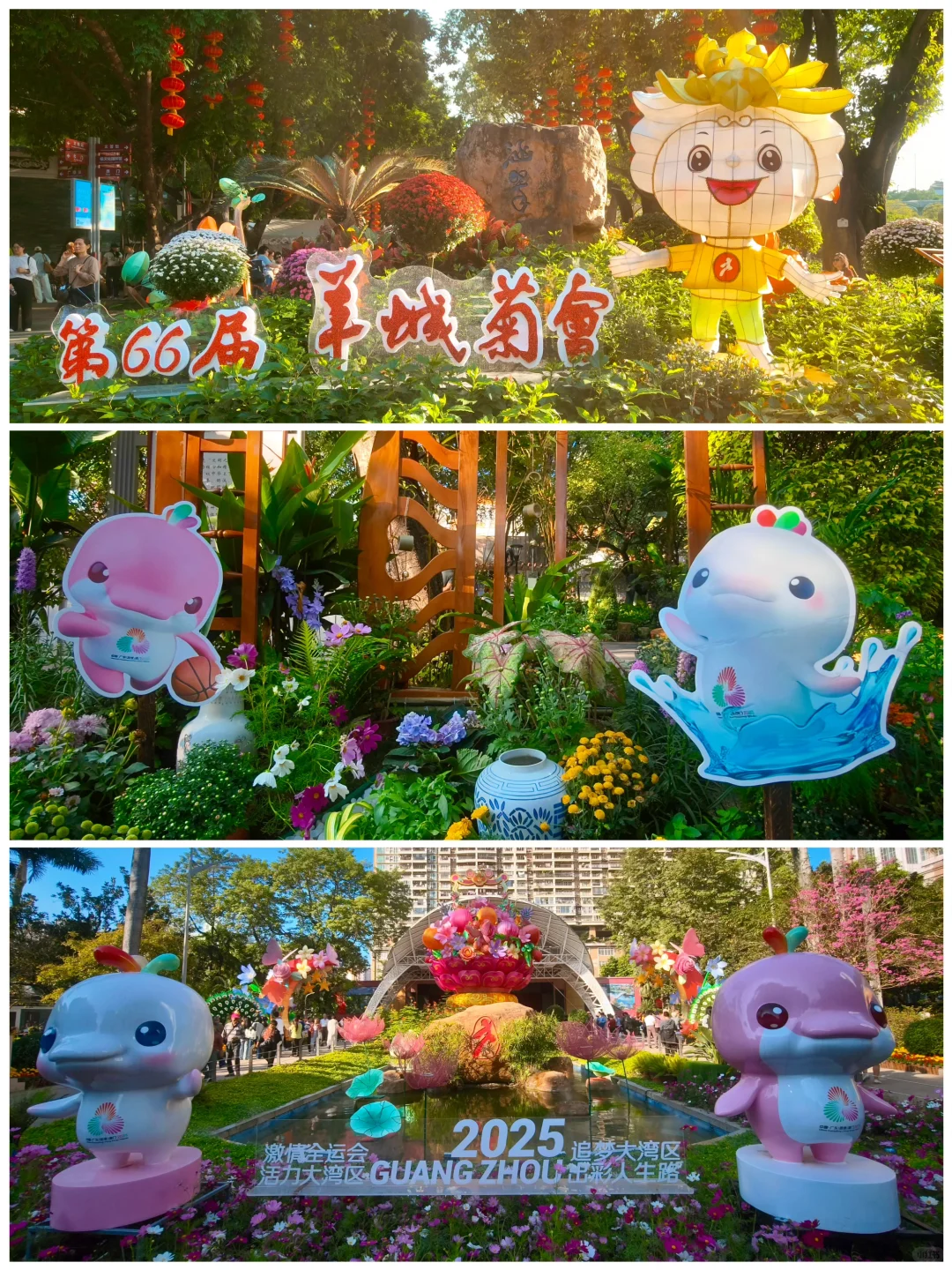第66届羊城菊会开幕|全运元素+岭南风太好拍