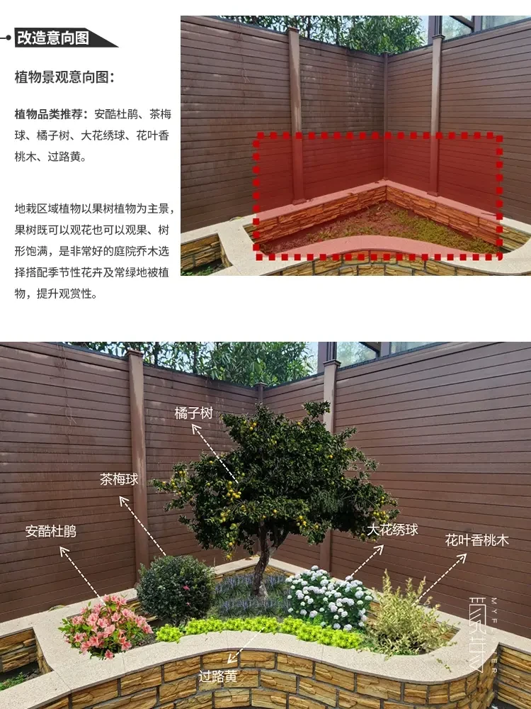 适合花园种的果树系列 花园一定要种棵果树