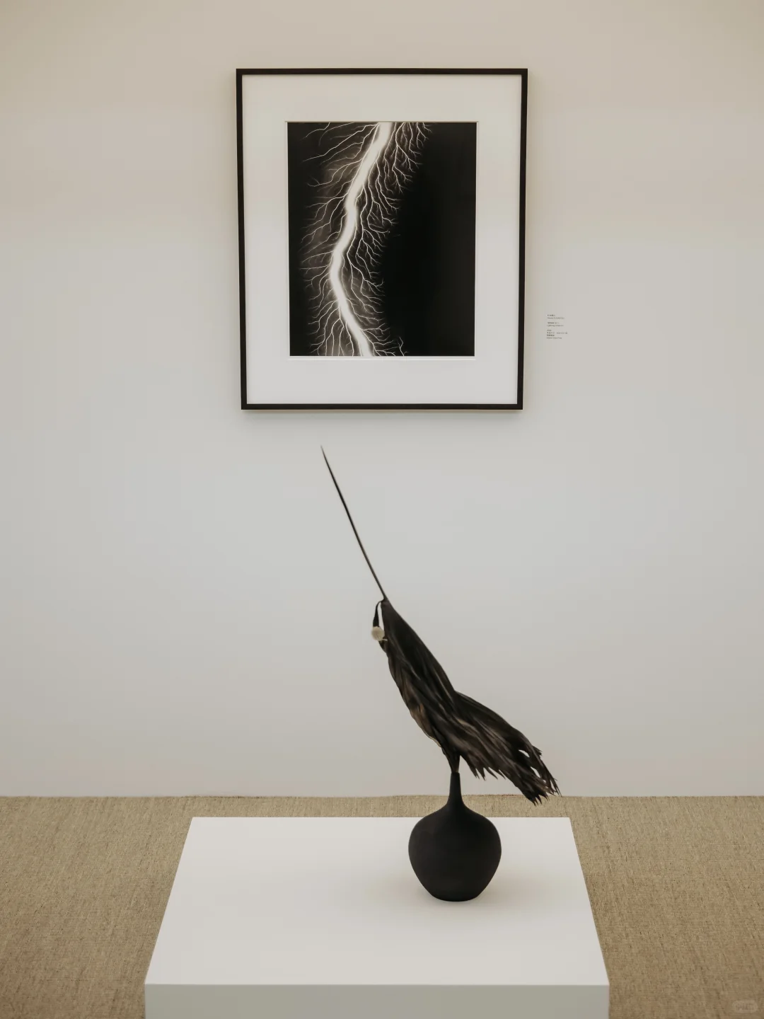 SIGMA x 上野雄次｜西岸艺博会花道现场