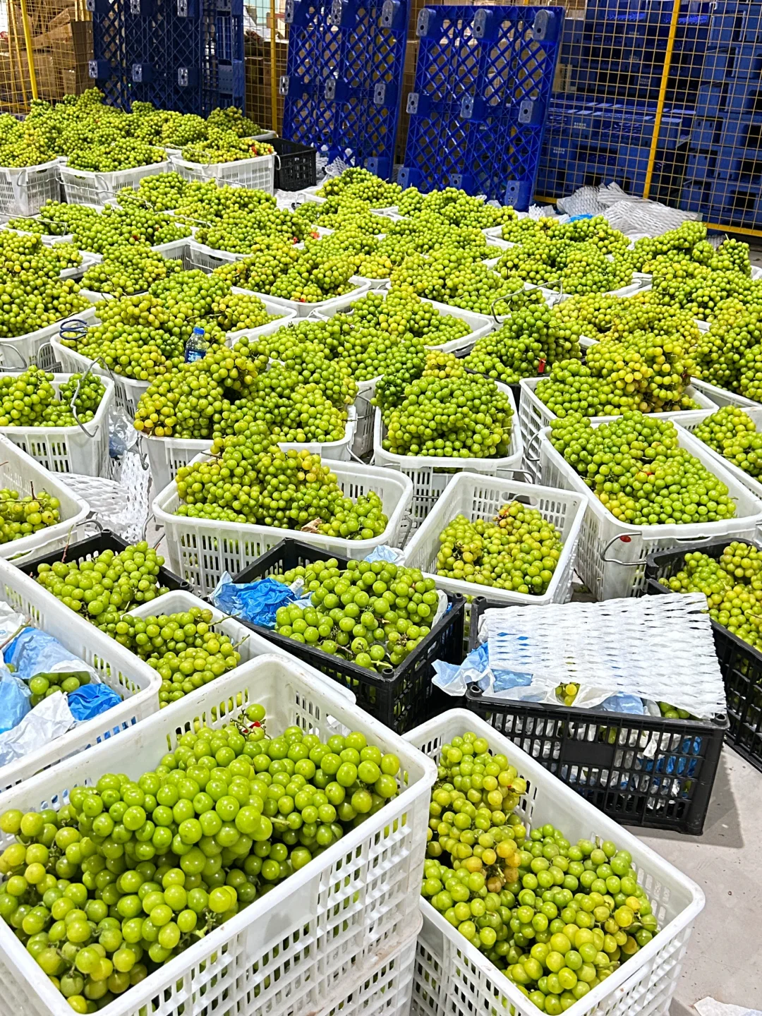 就算是拿去丢。。。 也不拿来卖?