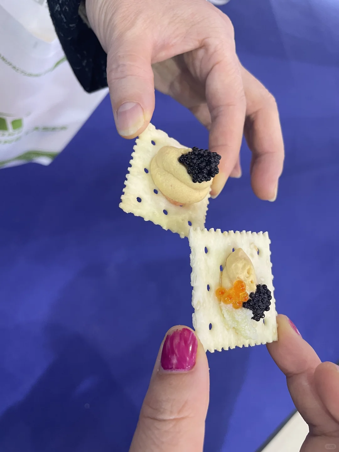 环球食品展别去了