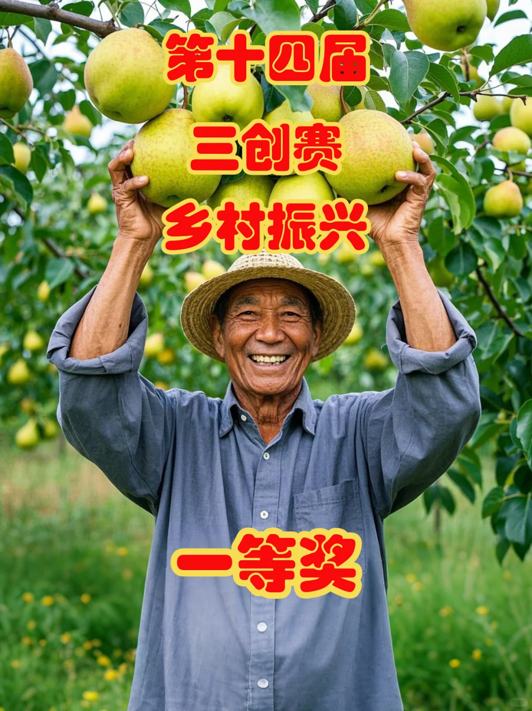 三创赛｜?品砀韵买梨都-乡村振兴