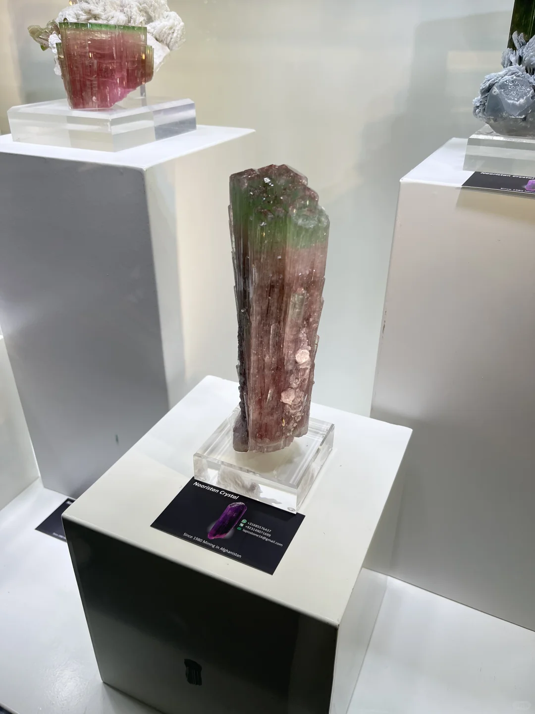 东海水晶矿物博览会结束?美物共赏