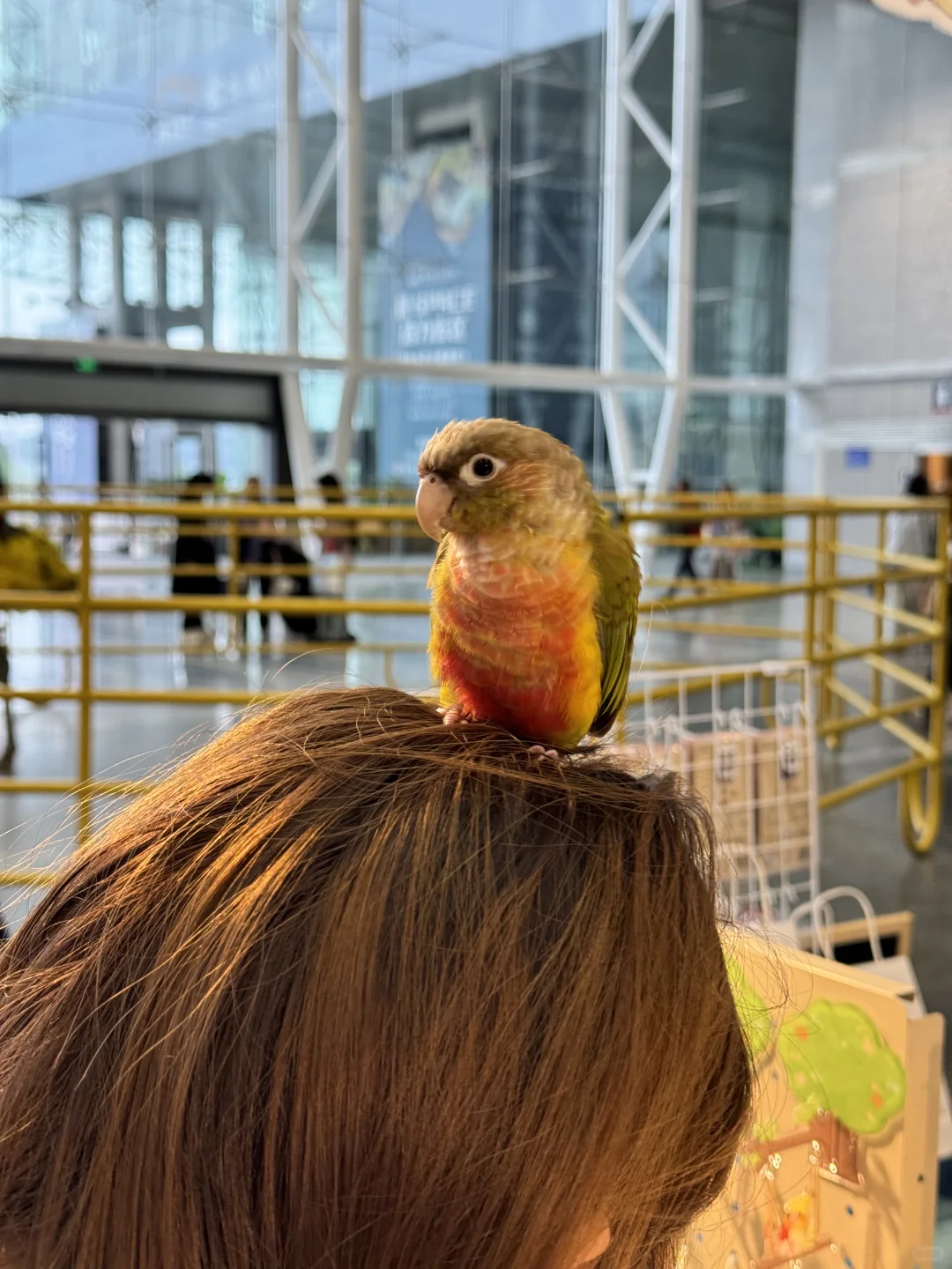 南京宠物博览会｜感谢各位鸟宝们光顾?