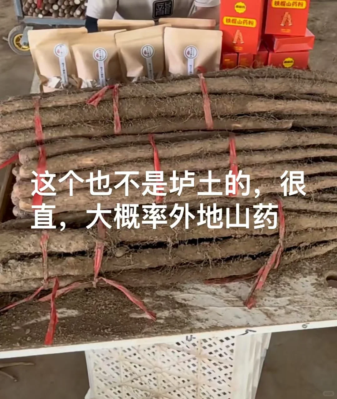 有人在等我家山药采挖吗？终于要霜降了