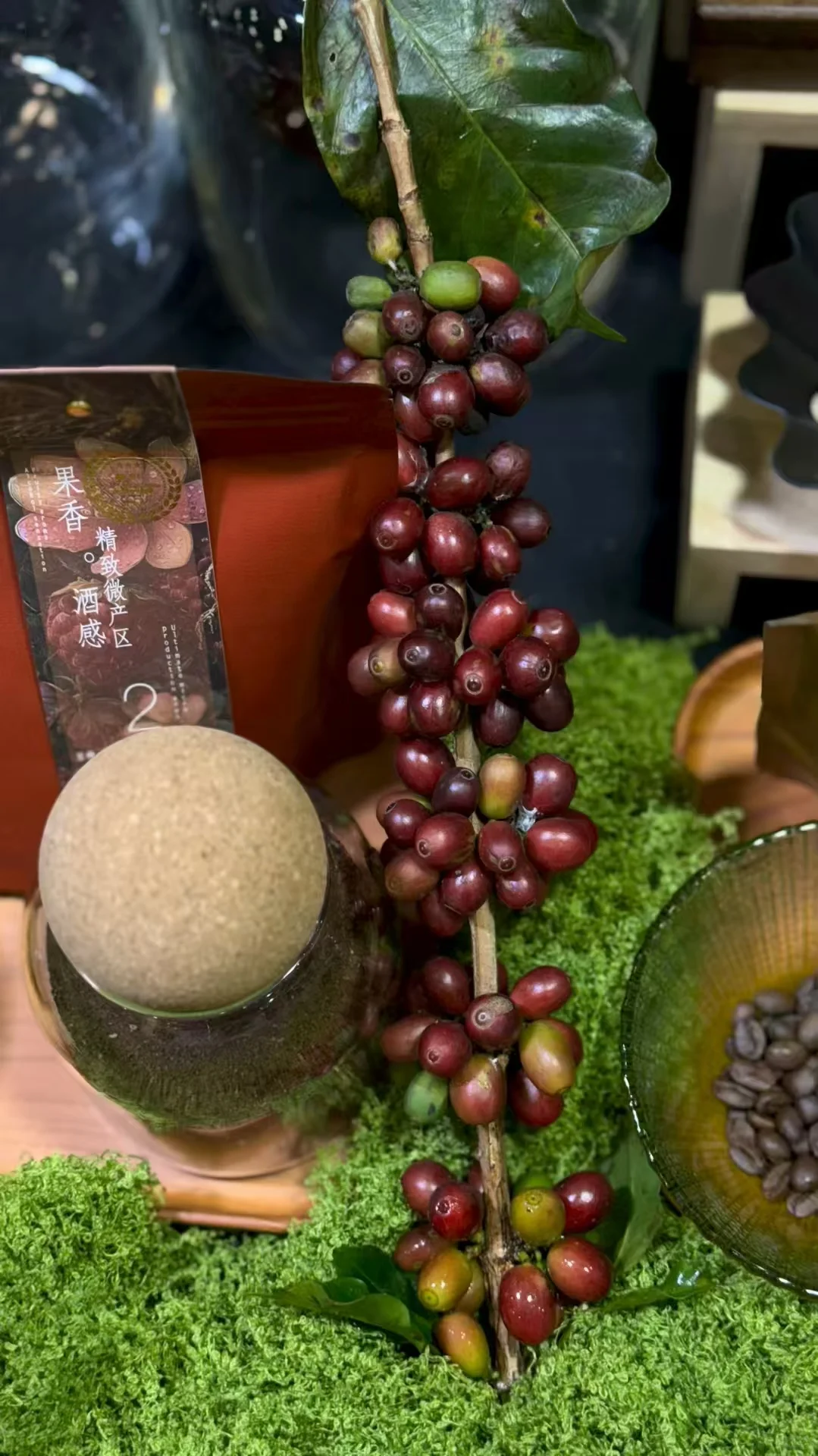 2025厦门国际咖啡产业博览会