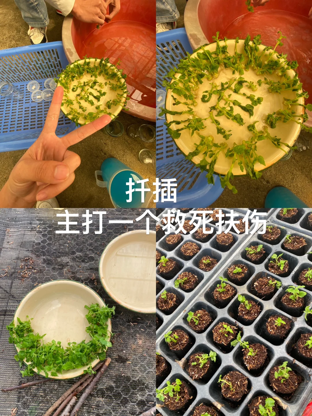 林业人