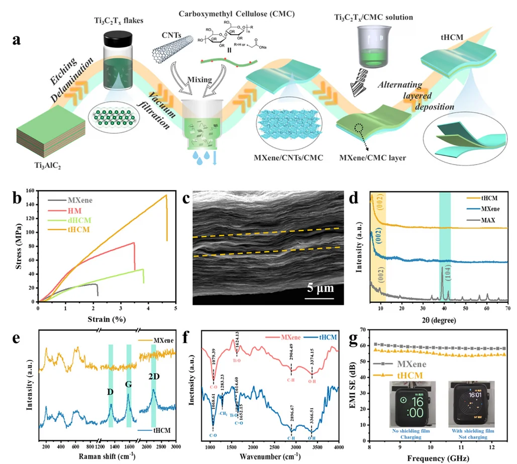 焊接MXene-CNTs混合薄膜多刺激响应执行器