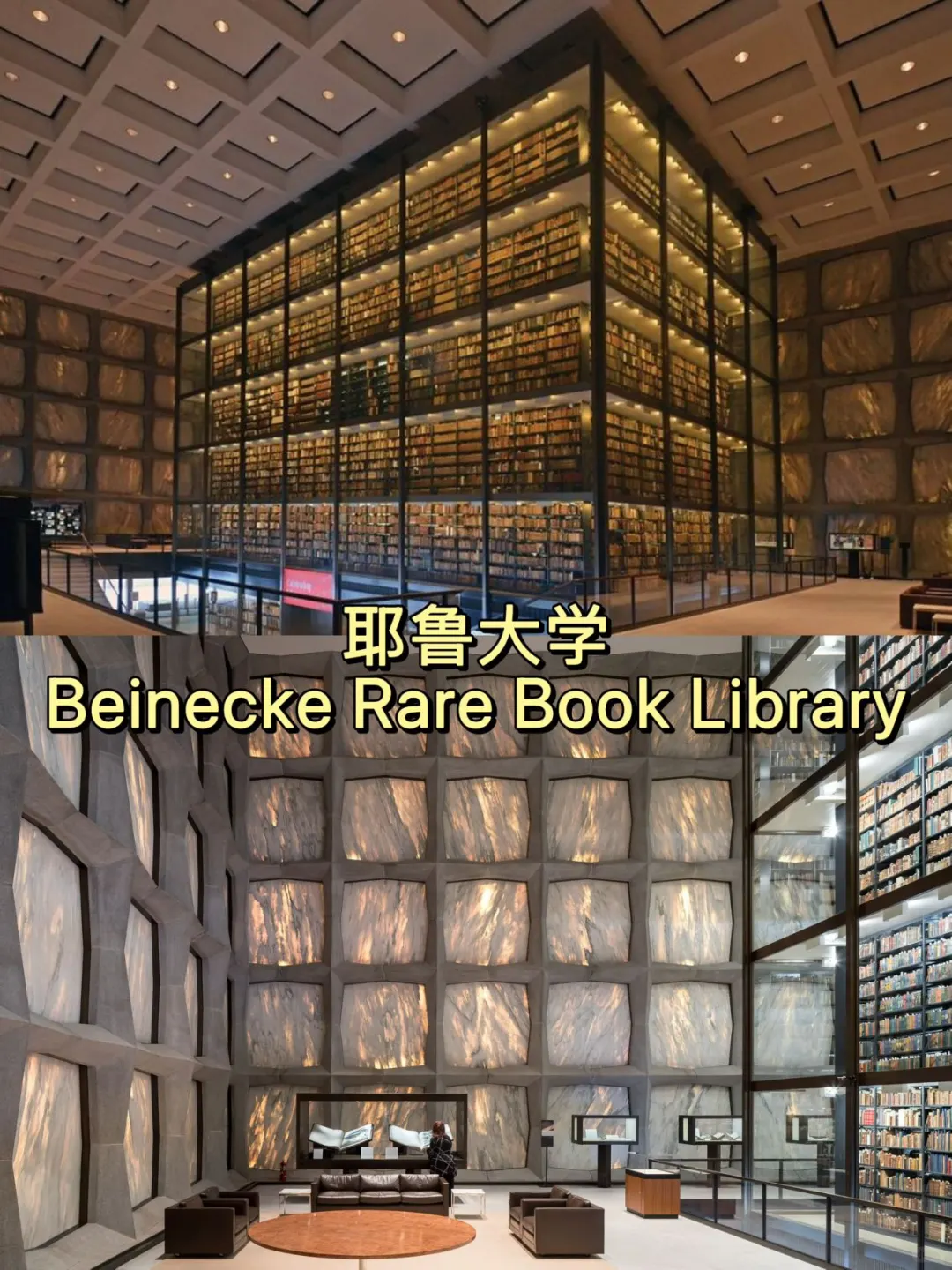 美国大学校园篇✨高颜值图书馆盘点