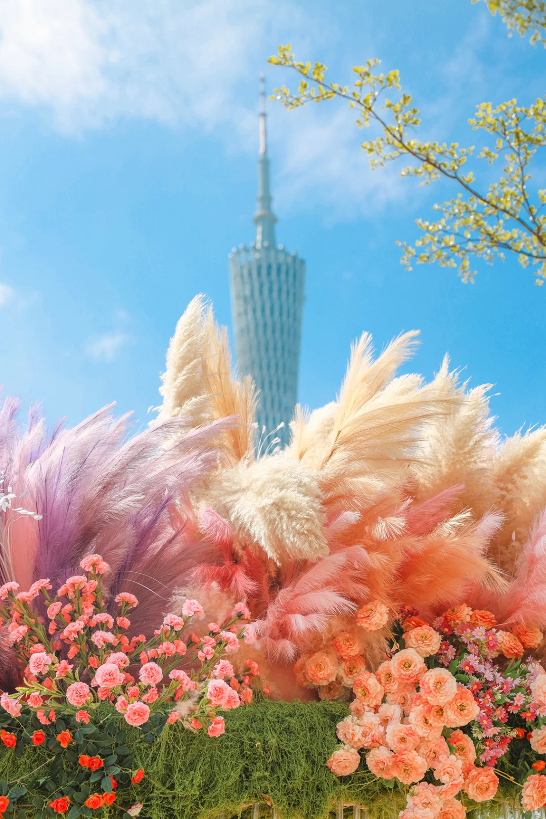 园林博览会+沙面