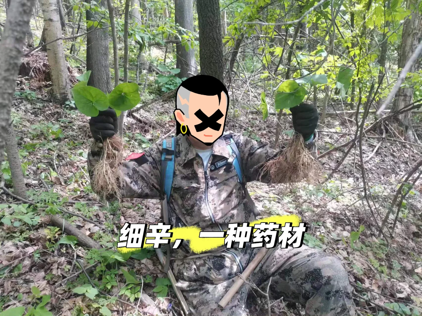 你不知道的长白山林业人