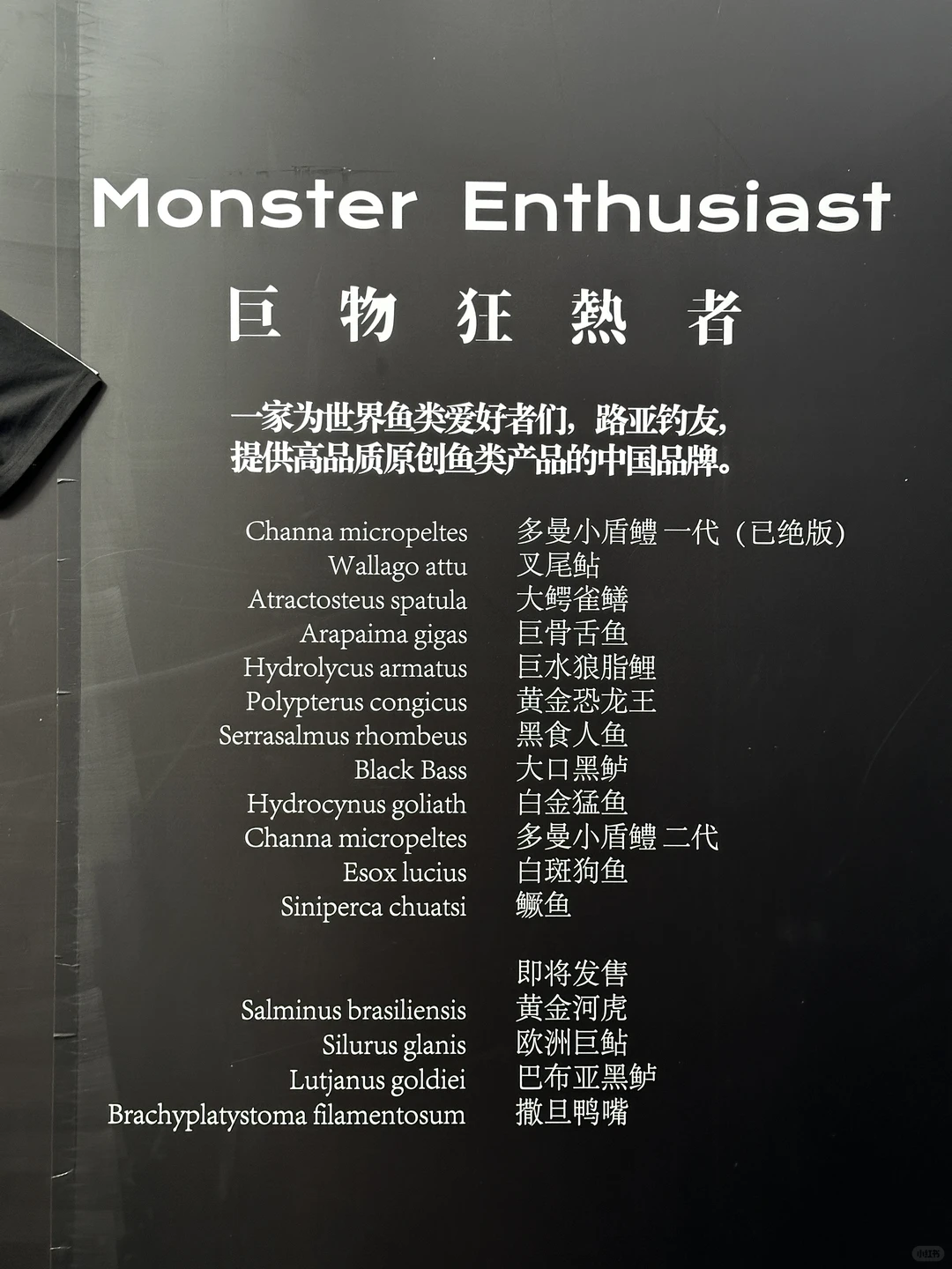 广州水族展里好玩的文创店 最强伴手礼