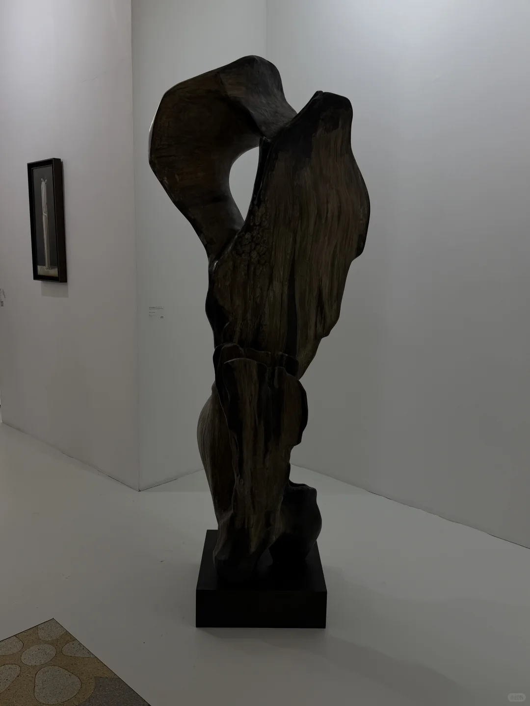 看ART021