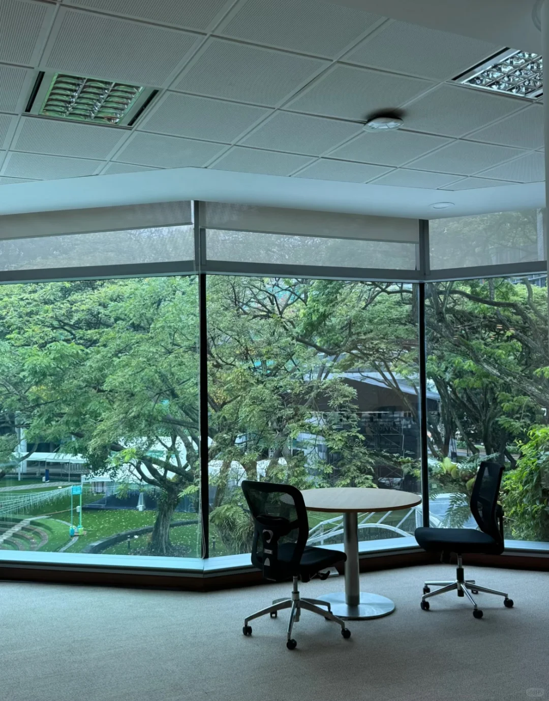 SMU狮城讲堂|超美图书馆