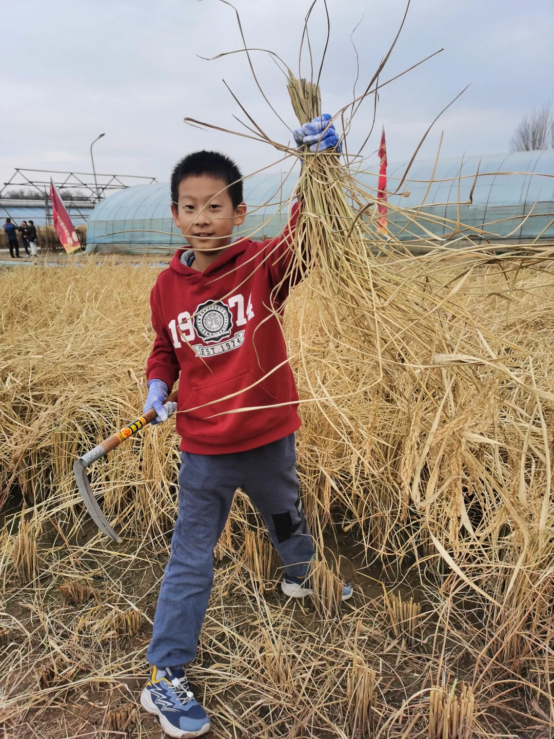 通州潞城遛娃可以去！