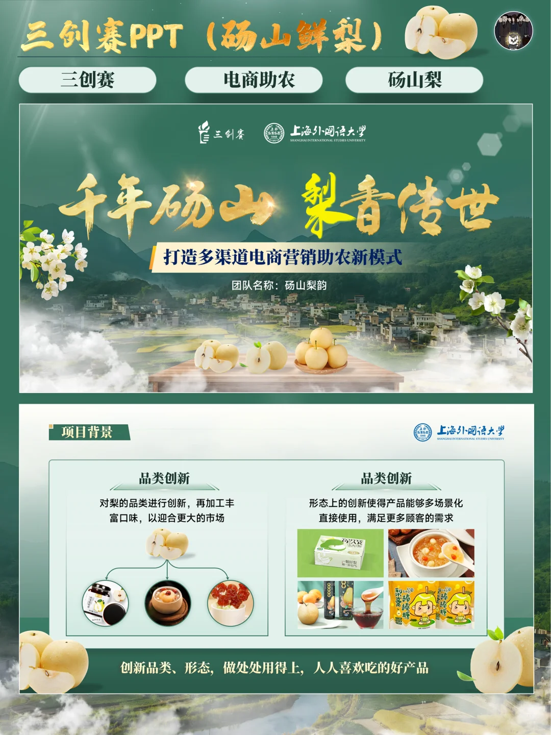 ?三创赛丨乡村振兴赛道电商助农PPT