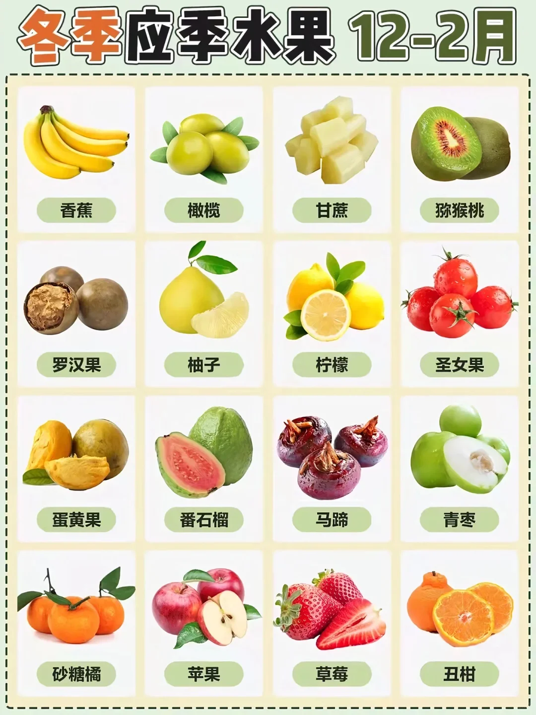 水果集合