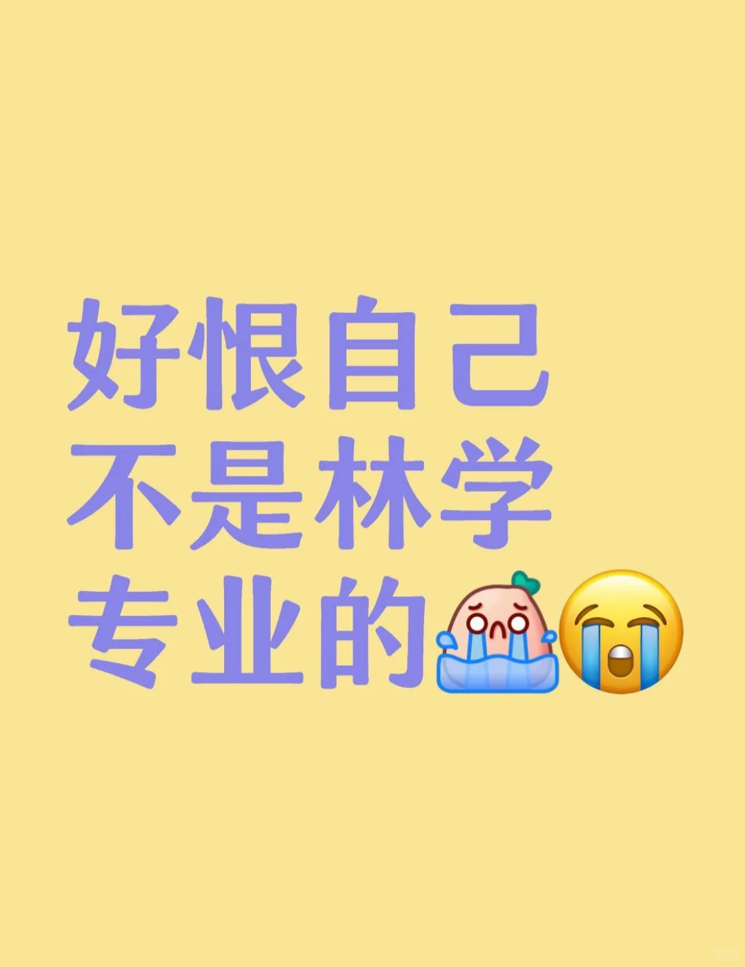 好恨自己不是林学专业?