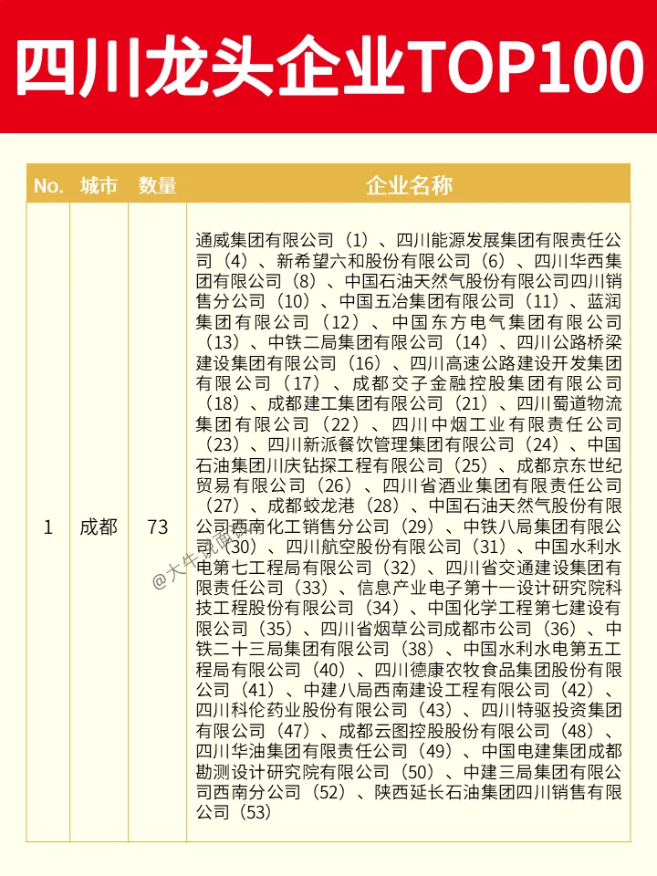 四川龙头企业TOP100❗