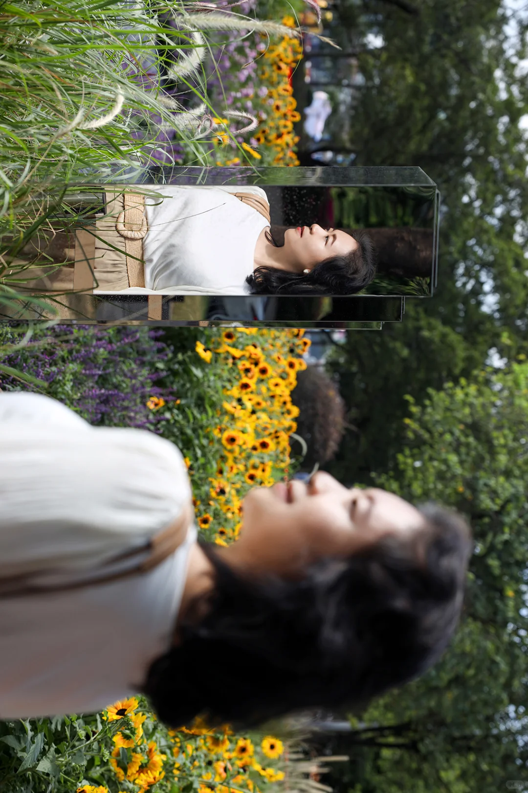 园林博览会+沙面