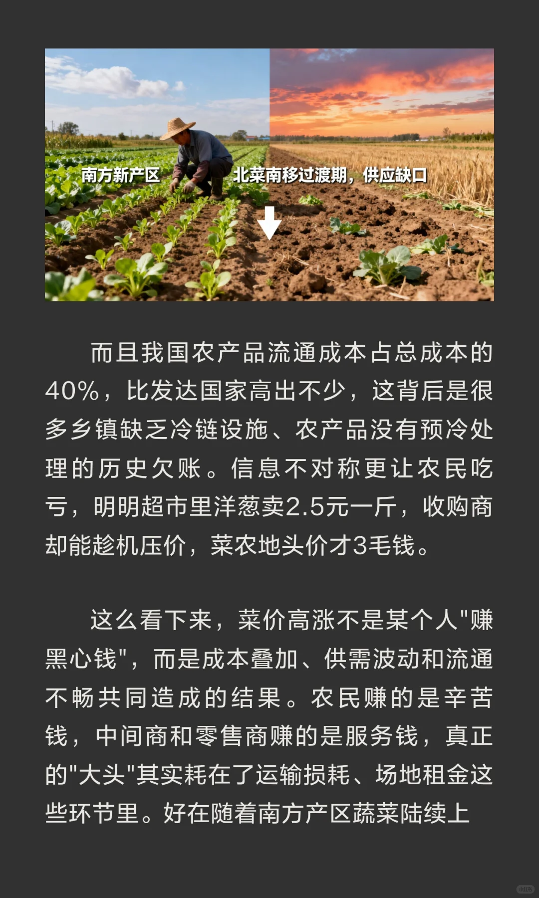 菜价快赶上肉价了！我们的钱到底被谁赚走了