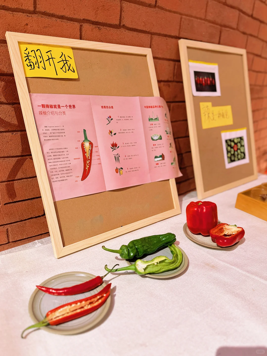 重庆茶园新展｜2025「趣·辣」辣椒展?️