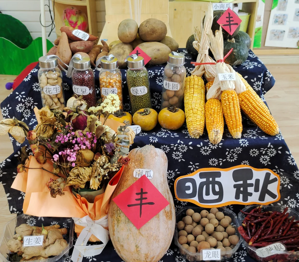 幼儿园晒秋活动｜幼儿园环创?