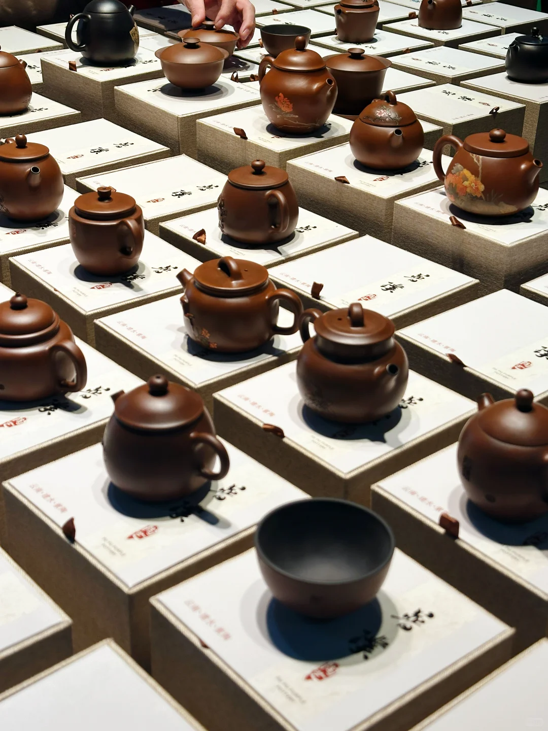 2025武夷山茶博会攻略