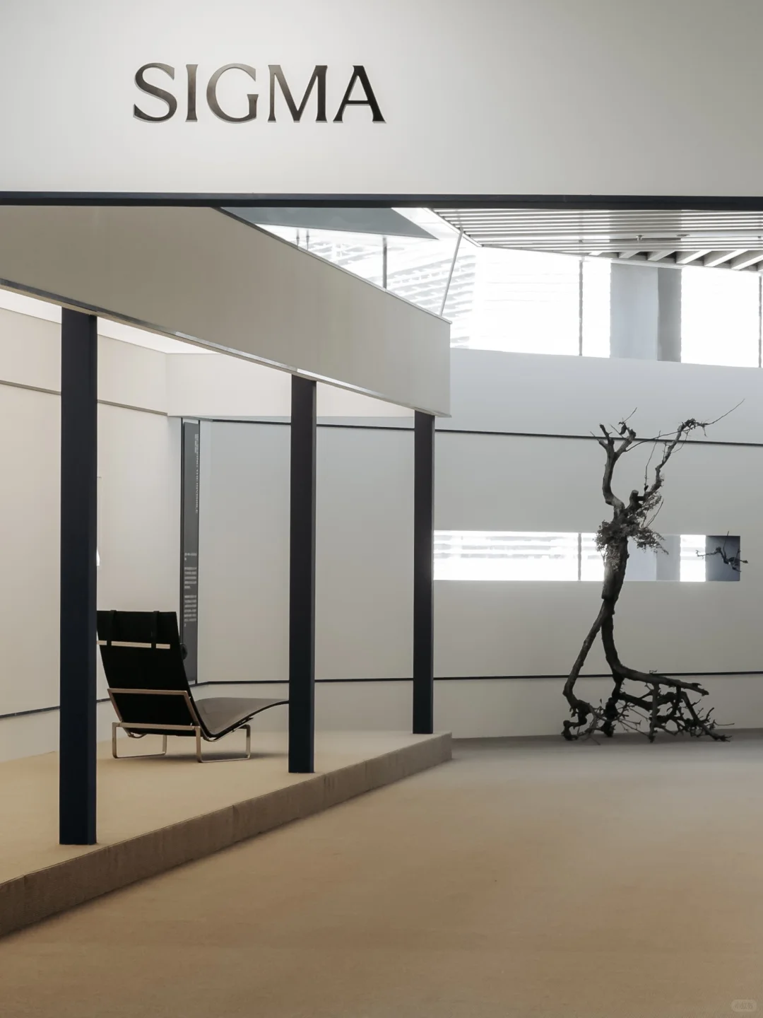 SIGMA x 上野雄次｜西岸艺博会花道现场