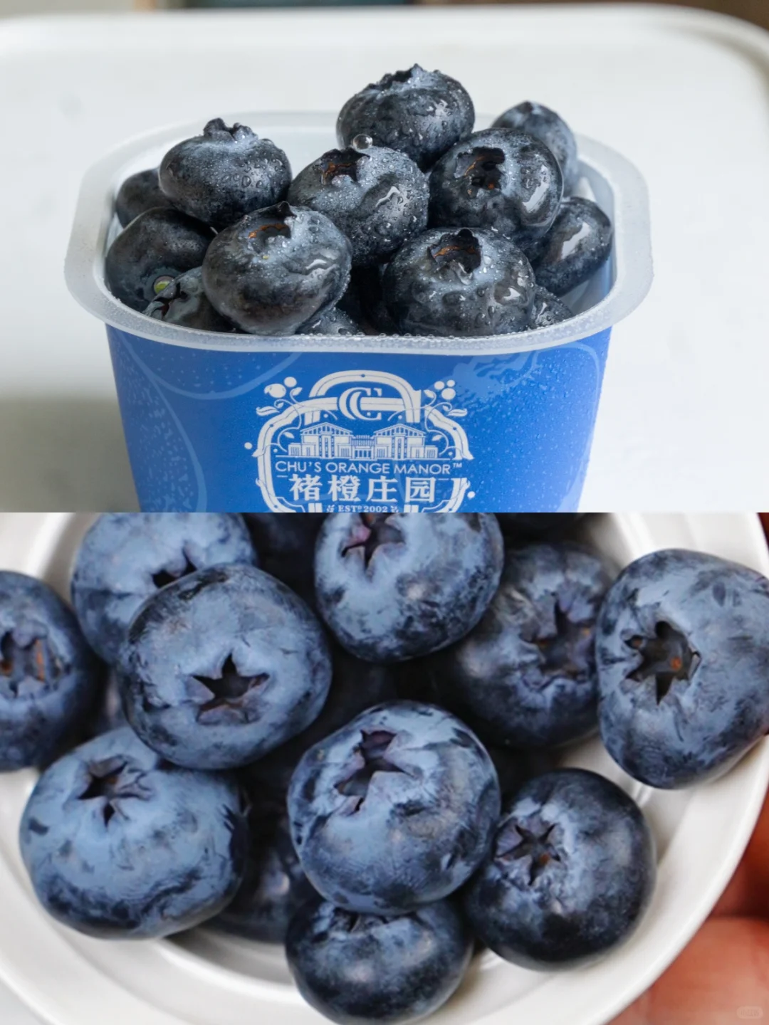 不会挑也能吃到好蓝莓！