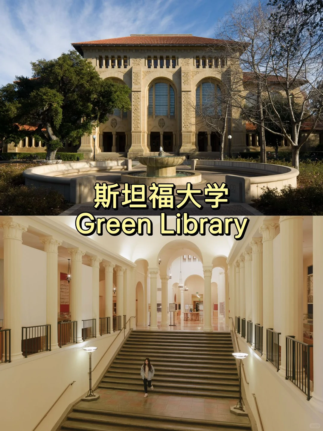 美国大学校园篇✨高颜值图书馆盘点