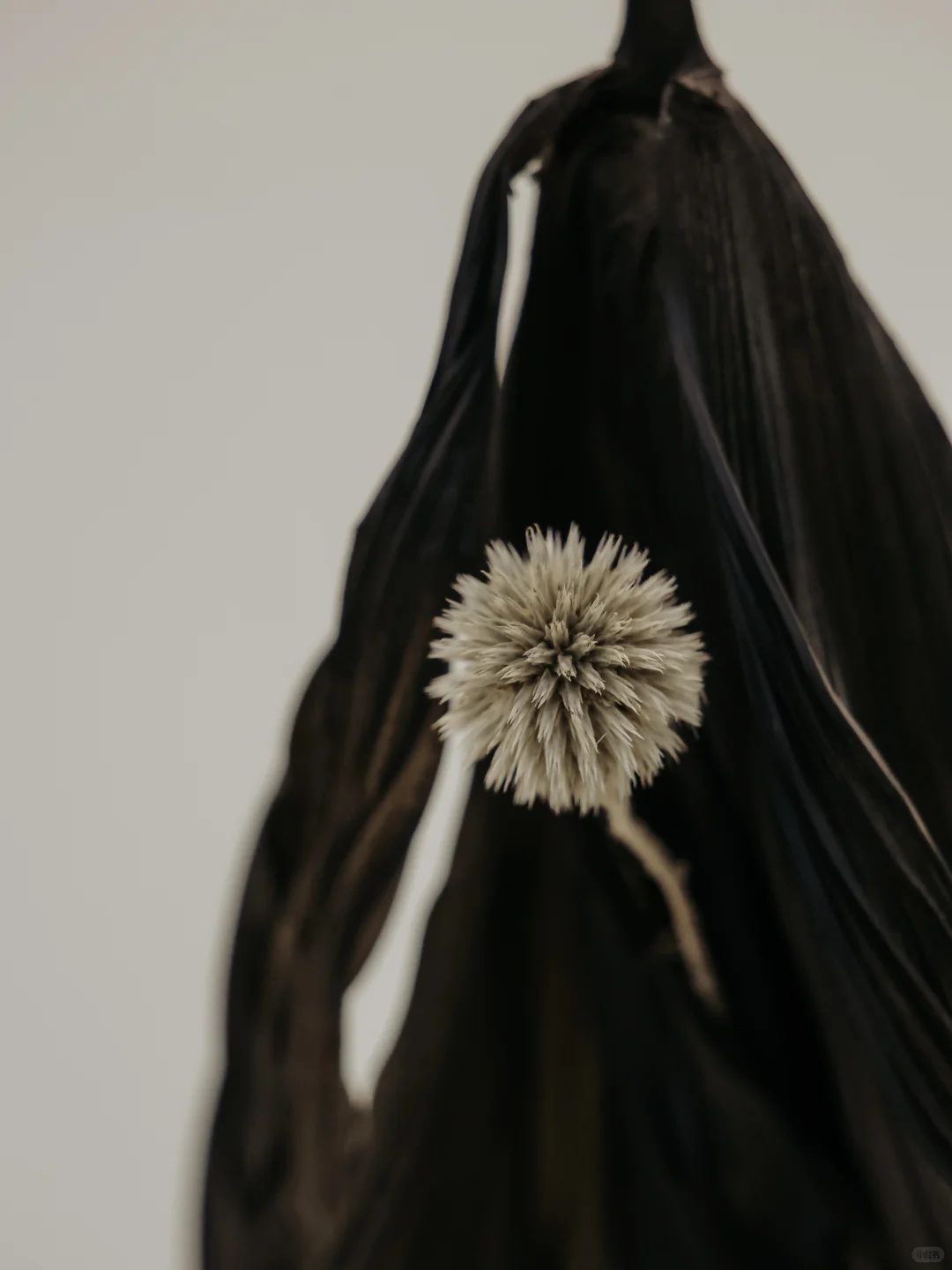 SIGMA x 上野雄次｜西岸艺博会花道现场