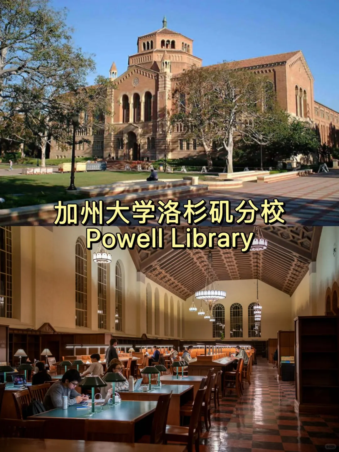 美国大学校园篇✨高颜值图书馆盘点