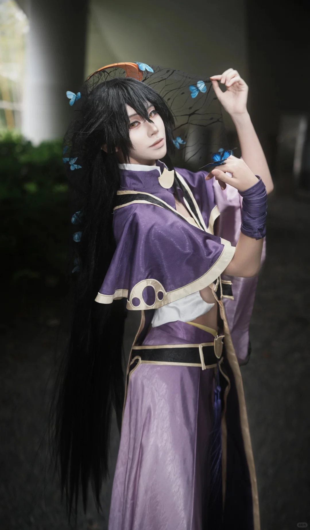 求33赞助力自由行