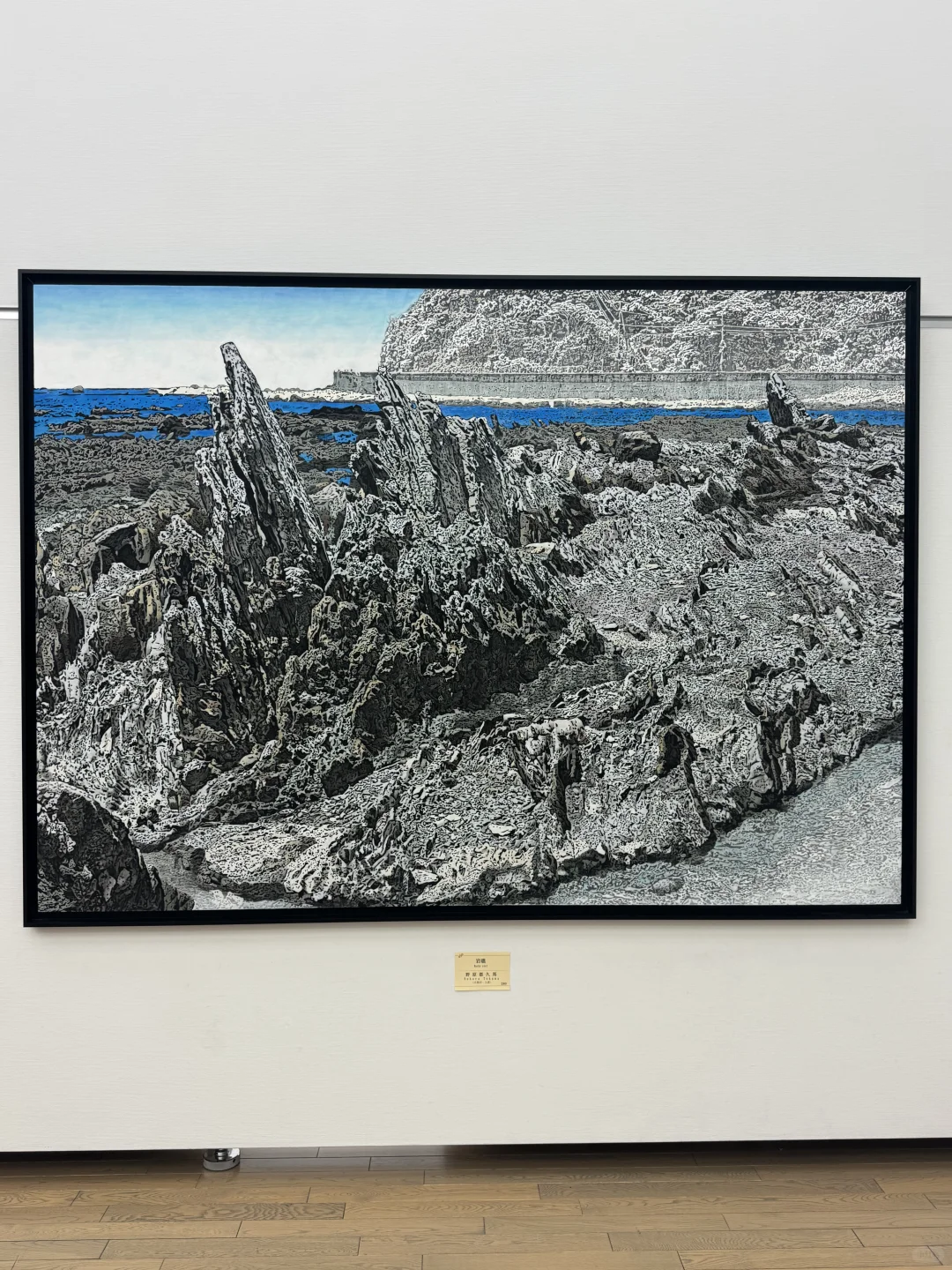 2025年日本最高级别艺术盛宴-日展（一）?