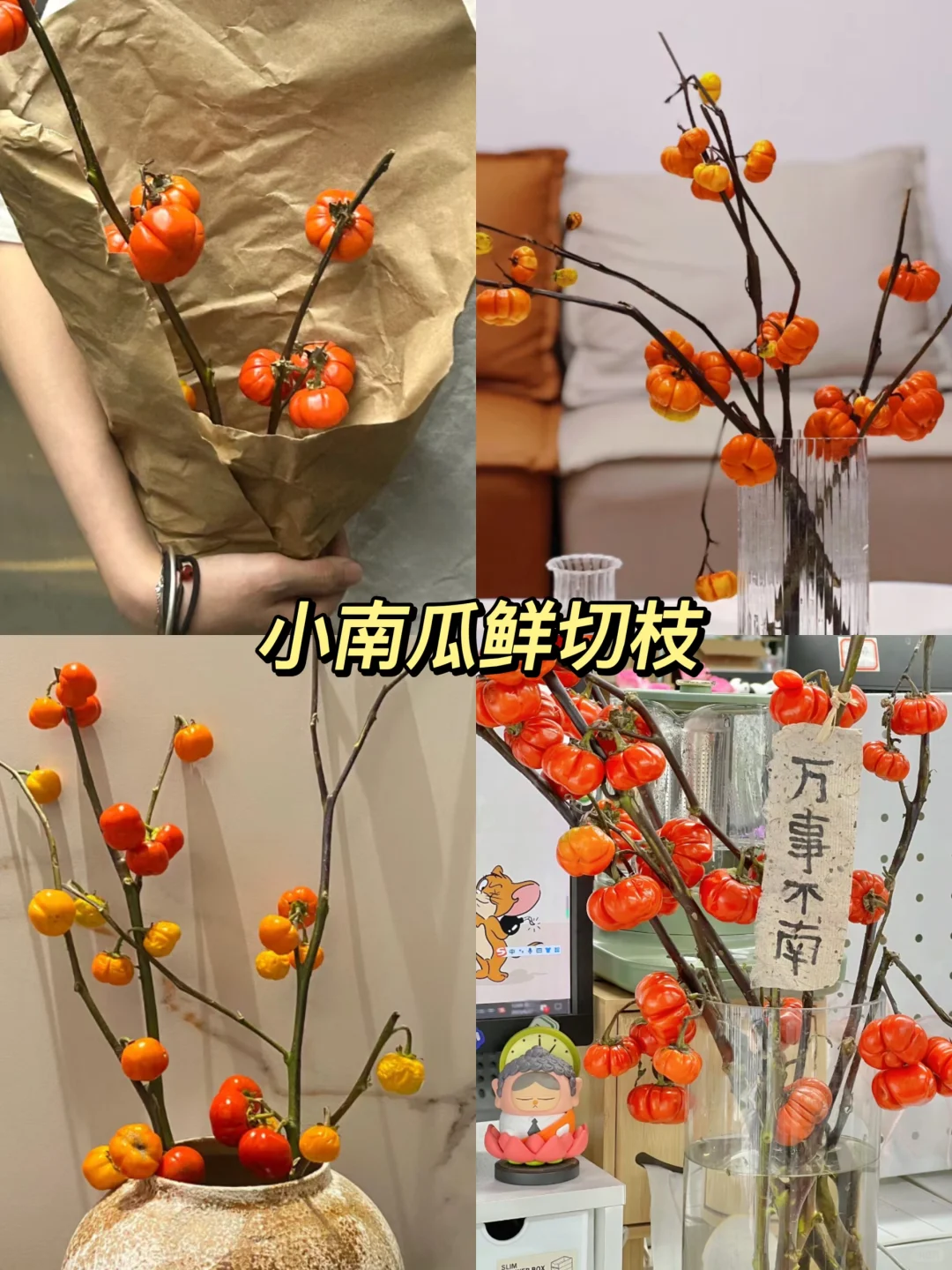 原来还有果实鲜切枝这种东西！！