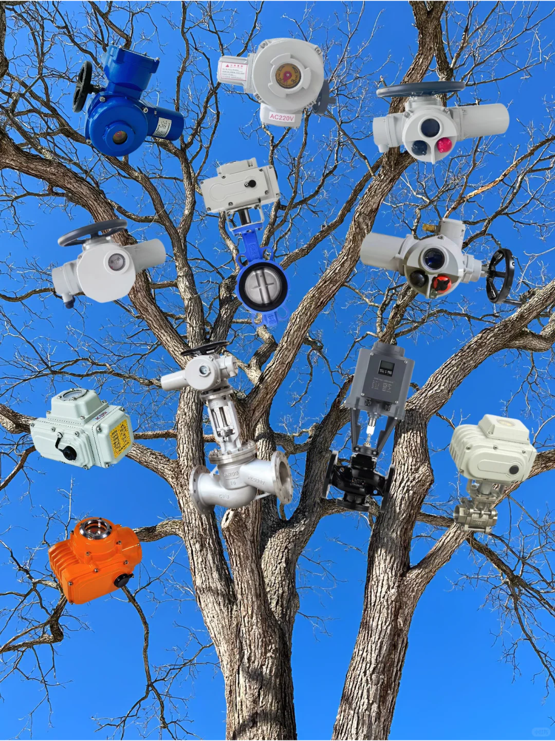 ?谁家树上长电动执行器啦？