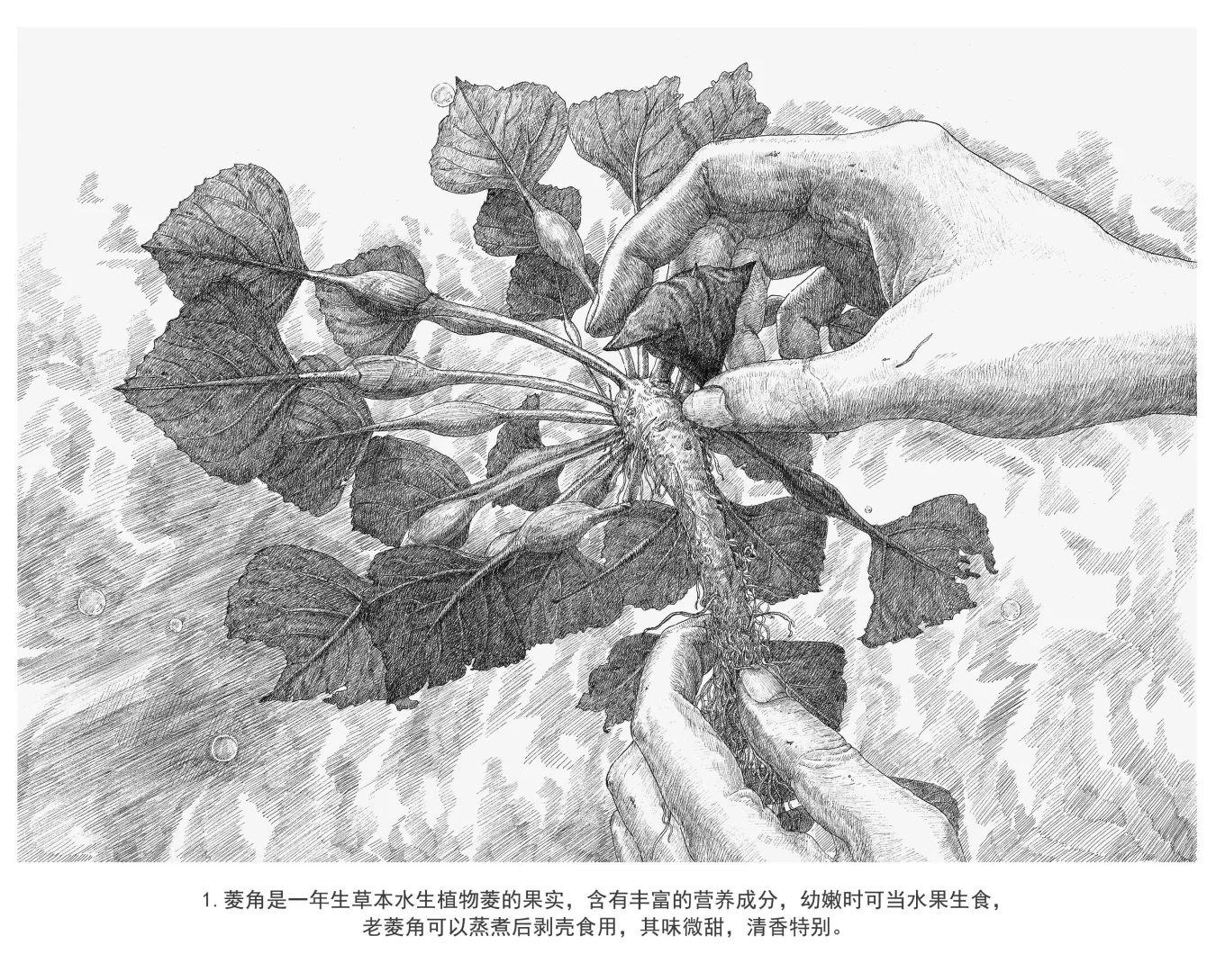 好创意国一（插画）
