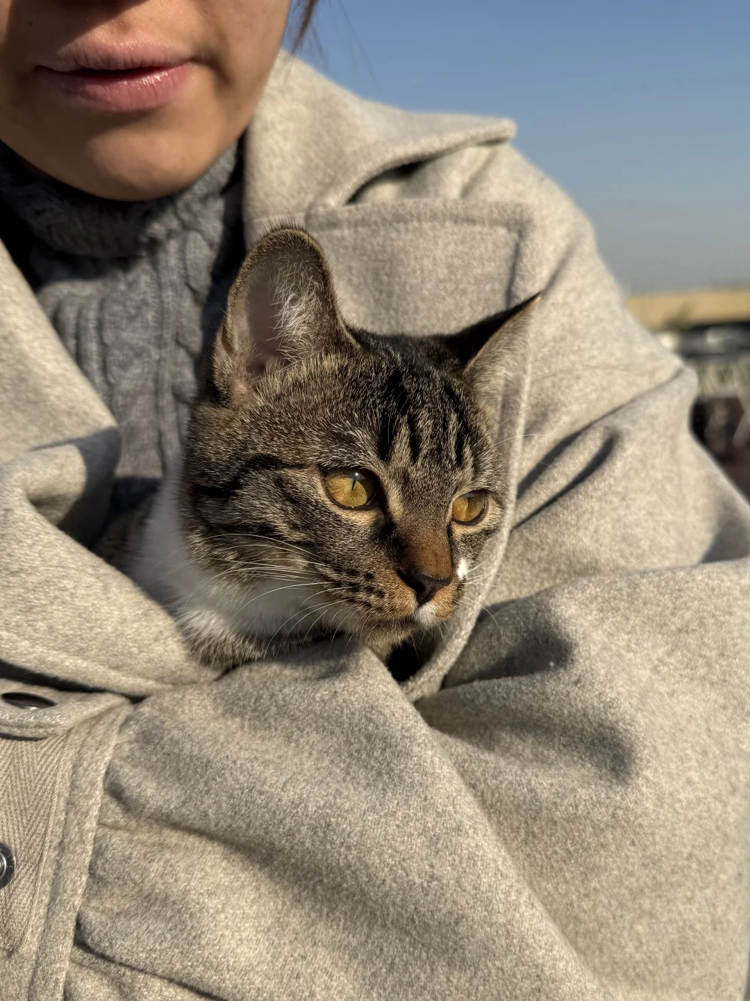 《种一棵树最好的时间是十年前，其次是现在》