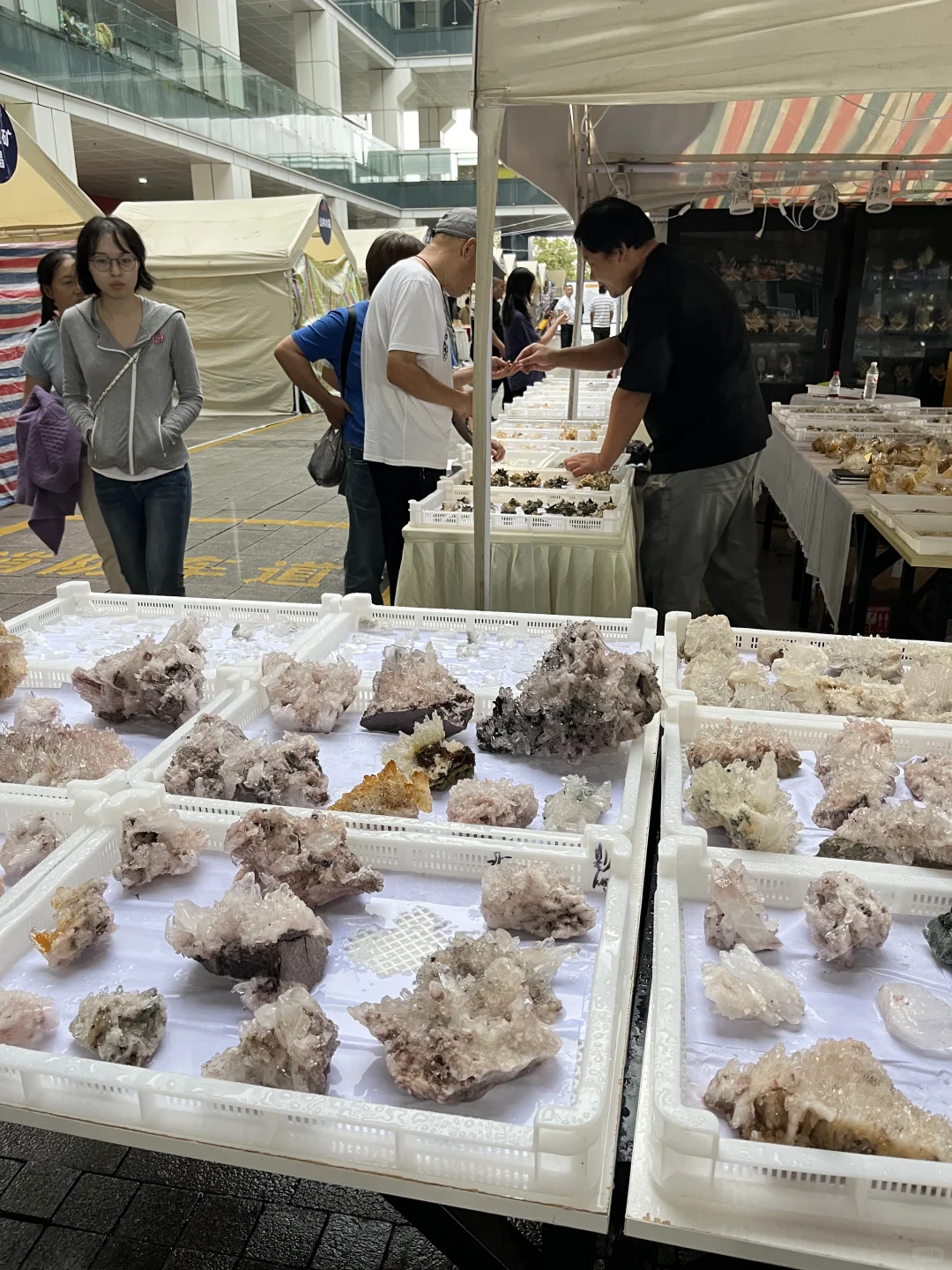 东海水晶矿物博览会结束?美物共赏